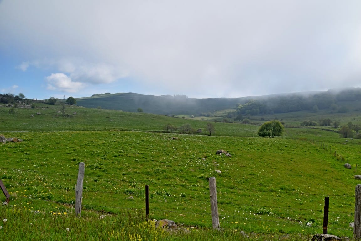 Plateau de l’Aubrac au printemps près de Laguiole