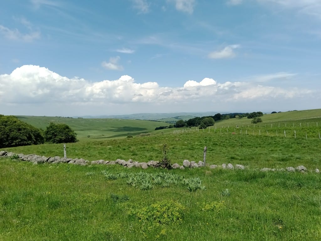 Paysage d’été entre Nasbinals et Aubrac sur le haut plateau