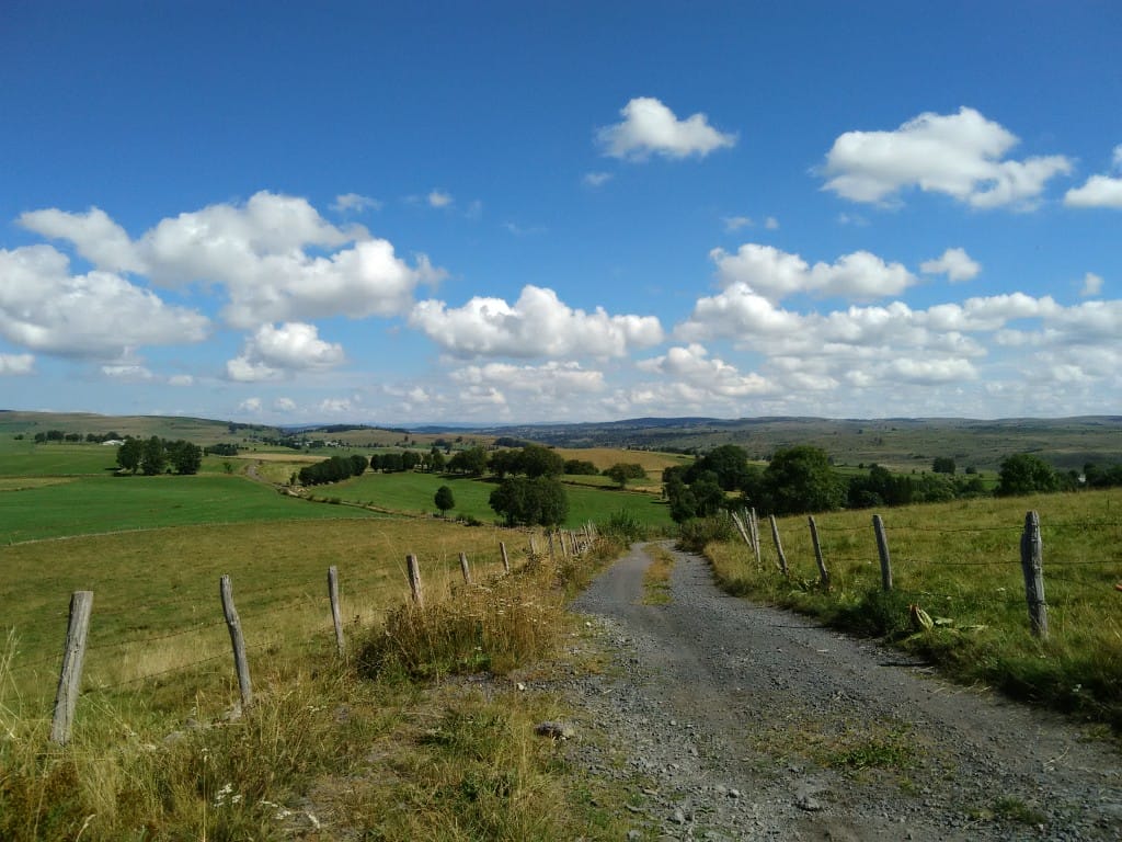 Pâturages et murets de pierre sèche sur le plateau de l’Aubrac